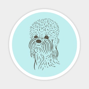 Dandie Dinmont Terrier (Blue and Khaki) Magnet